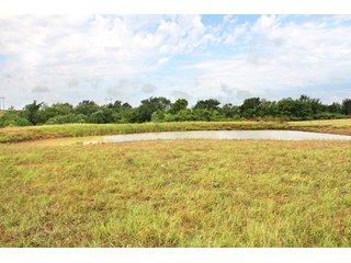 Property photo 15 - LAND AUCTION - 1,593+/- ACRES OFFERED IN 21 TRACTS IN OKMULGEE CO., OK